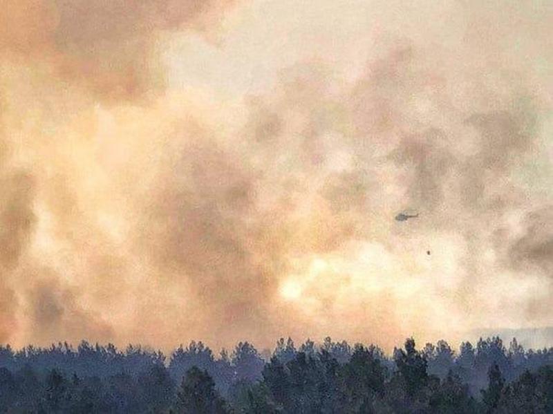 Пожар в Чернобыле подобрался к хранилищу ядерных отходов: что сейчас происходит в «зоне» (фото, видео)