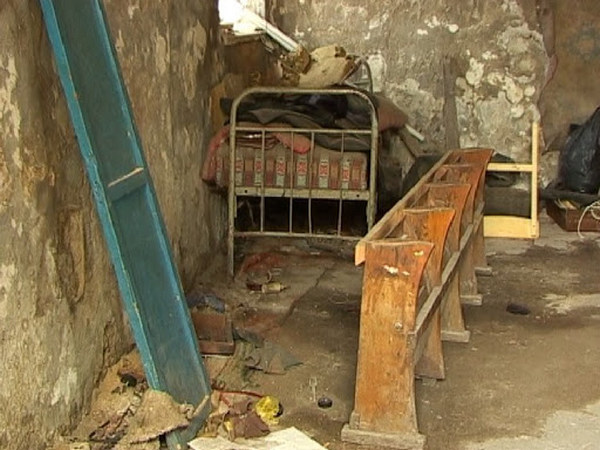 Пожар в приюте для животных в Одессе: собак и кошек бросился спасать случайный прохожий (фото, видео)