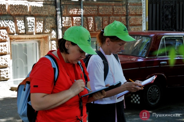 Случайная встреча в тени японской софоры или Как в Одессе деревья считают. Фото