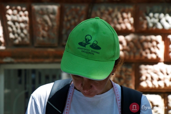 Случайная встреча в тени японской софоры или Как в Одессе деревья считают. Фото