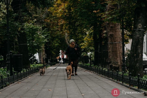 Из лета в глубокую осень: как Одесса и одесситы первые холода встречают. Фоторепортаж