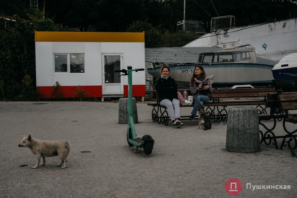 Из лета в глубокую осень: как Одесса и одесситы первые холода встречают. Фоторепортаж