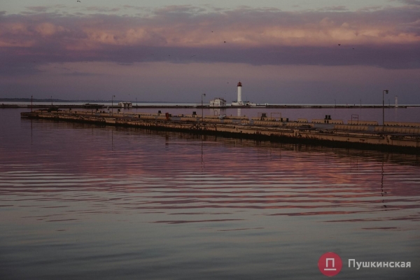 Полчища медуз и нежный закат: фоторепортаж с одесского морвокзала