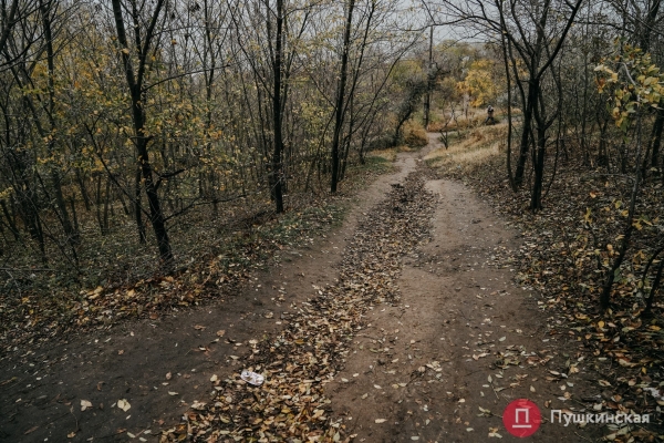 В Одессе хотят построить новую лестницу к морю, ее проект обойдется почти в 1,5 миллиона