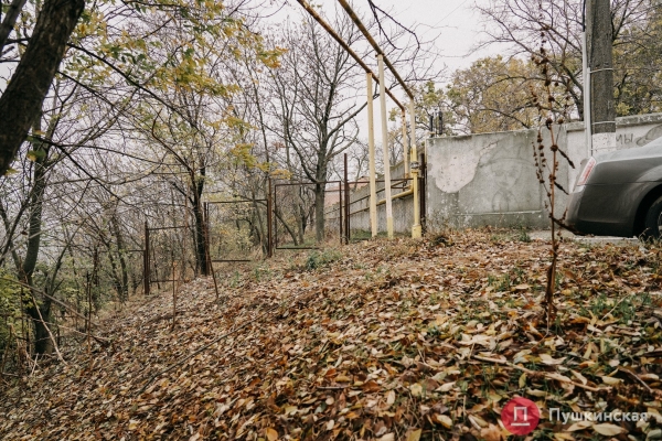 В Одессе хотят построить новую лестницу к морю, ее проект обойдется почти в 1,5 миллиона