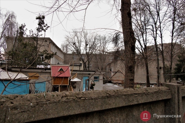 В Одессе на территории школы для детей с проблемами зрения построят спорткомплекс за 178 миллионов