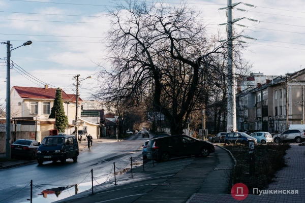 Нетуристическая Одесса, часть 5: Ближние Мельницы — мукомольное прошлое и невнятное настоящее