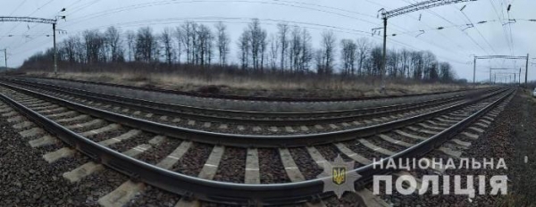 Рано утром в Подольском районе поезд насмерть сбил подростка