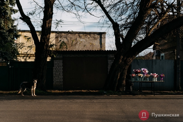 Нетуристическая Одесса, часть 5: Ближние Мельницы — мукомольное прошлое и невнятное настоящее