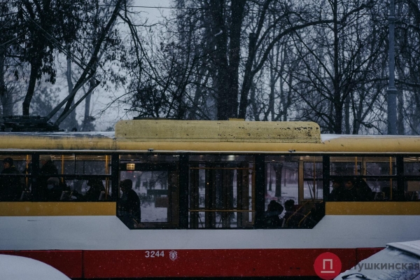Как Одесса и одесситы встретили первый настоящий снегопад 2022 года. Большой фоторепортаж