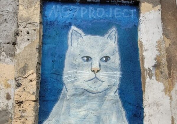 В Одессе появилось новое "кошачье" граффити: фотоотчет
