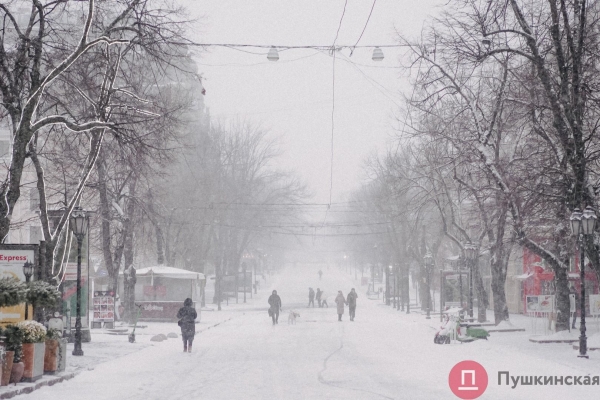 Как Одесса и одесситы встретили первый настоящий снегопад 2022 года. Большой фоторепортаж