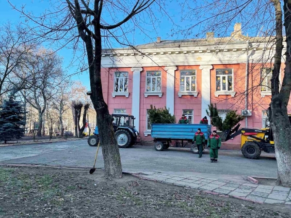 Одессу засаживают соснами 