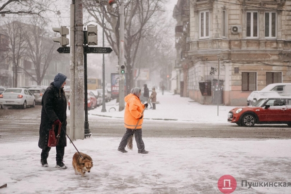 Как Одесса и одесситы встретили первый настоящий снегопад 2022 года. Большой фоторепортаж