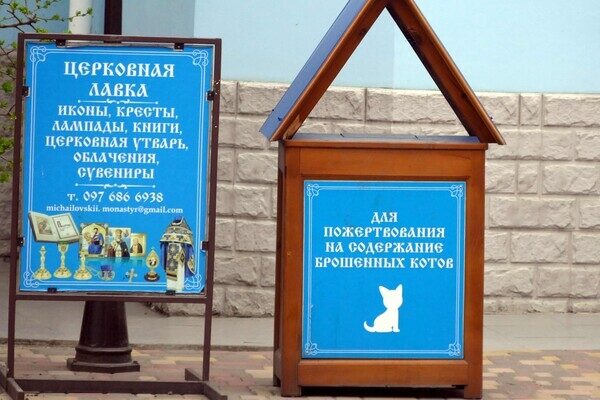 В одесском монастыре помогают котам-беженцам (фото)