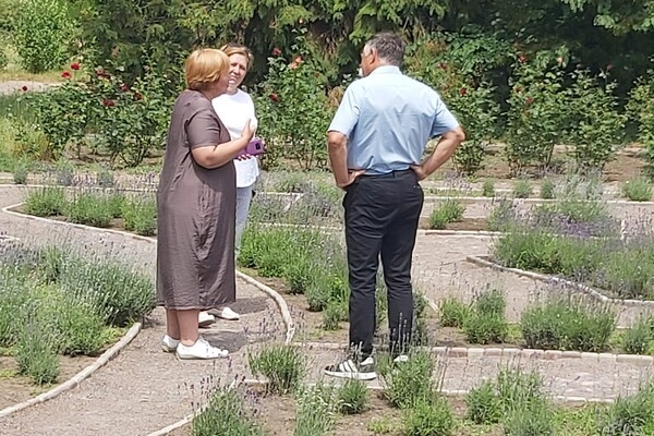 Места для фотосессий: где в Одессе и области цветет лаванда