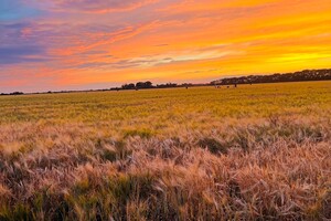 Одесситы наблюдали удивительно красочный летний закат (фото)