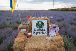 Места для фотосессий: где в Одессе и области цветет лаванда