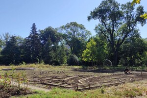 Места для фотосессий: где в Одессе и области цветет лаванда