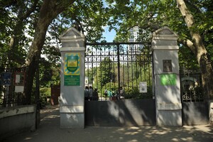 Места для фотосессий: где в Одессе и области цветет лаванда