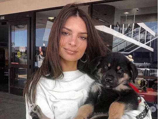 Фото голої Емілі Ратаковськи захопило любителів… собак
