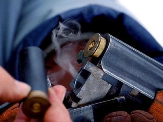 Не хотів лягати спати: мати застрелила свого шестирічного сина