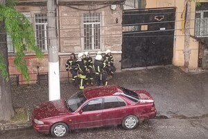 Из-за непогоды в Одессе упали пять деревьев: одна из них чуть не задела автомобилиста на дороге