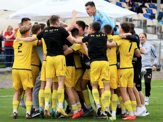 Розплата за пенальті на 90+7-й хвилині: у матчі чемпіонату України вболівальник ударив арбітра у живіт (відео)