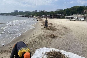 Жабы и бревна: на пляжах Одессы начали убирать мусор