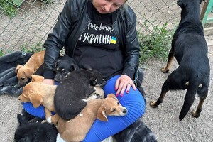 В Одессу привезли первых спасенных животных из Херсона: как помочь