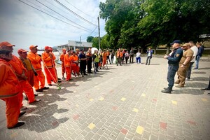 Жабы и бревна: на пляжах Одессы начали убирать мусор