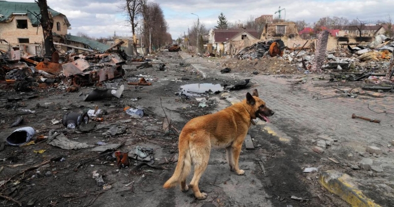 «Як би не діяв ХАМАС, але прорахунок ізраїльського уряду очевидний», — Ігор Семіволос