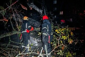 Более 50 упавших деревьев: к каким последствиям привела непогода в Одессе