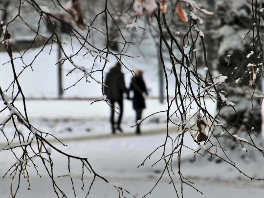 Теплий, але вітряний: синоптик розповіла, яким буде лютий в&nbsp;Україні (відео)