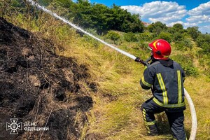 В Одессе возле Трассы здоровья вспыхнул пожар: подробности