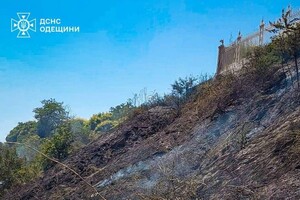 В Одессе возле Трассы здоровья вспыхнул пожар: подробности