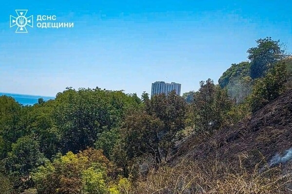 В Одессе возле Трассы здоровья вспыхнул пожар: подробности