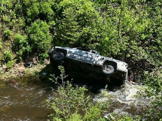 У США собака пробіг шість кілометрів, щоб допомогти господареві, який розбився на машині