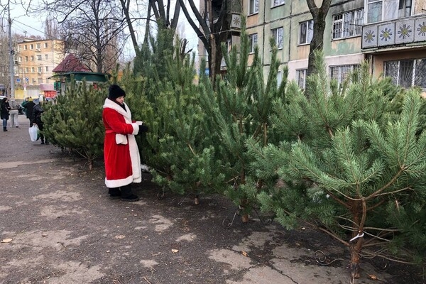 Праздник приближается: где в Одессе есть елочные базары