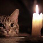 Во вторник часть Одессы осталась без света: адреса