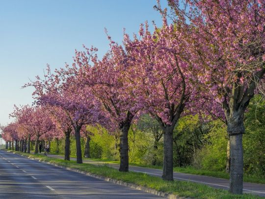 Прогріє аж до +25, але подекуди мокро: синоптики розповіли про погоду на тижні 14 — 20 квітня