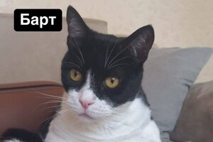 Ночная атака БпЛА: беспилотник уничтожил дом директора Одесского зоопарка (обновлено)