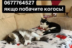 Ночная атака БпЛА: беспилотник уничтожил дом директора Одесского зоопарка (обновлено)