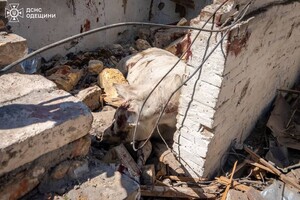 Повреждения гражданских объектов и более десятка раненых: последствия дроновой атаки на Одессу