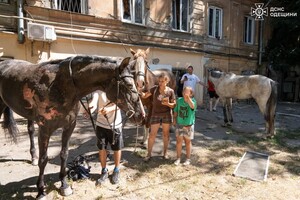 Повреждения гражданских объектов и более десятка раненых: последствия дроновой атаки на Одессу