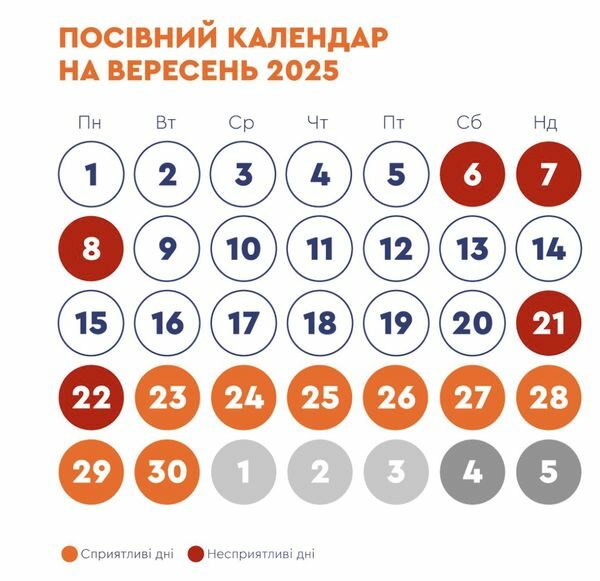 Чим зайнятися у&nbsp;вересні в&nbsp;саду та&nbsp;на&nbsp;городі: посівний календар на&nbsp;перший місяць осені