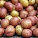 Як підготувати картоплю до садіння: секрети гарного врожаю