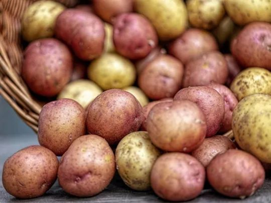 Як&nbsp;підготувати картоплю до&nbsp;садіння: секрети гарного врожаю