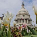 Сенат США отклонил резолюцию об ограничении военных полномочий Трампа в Иране