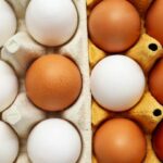 Білі чи коричневі яйця: експерти нарешті поставили крапку в цьому питанні